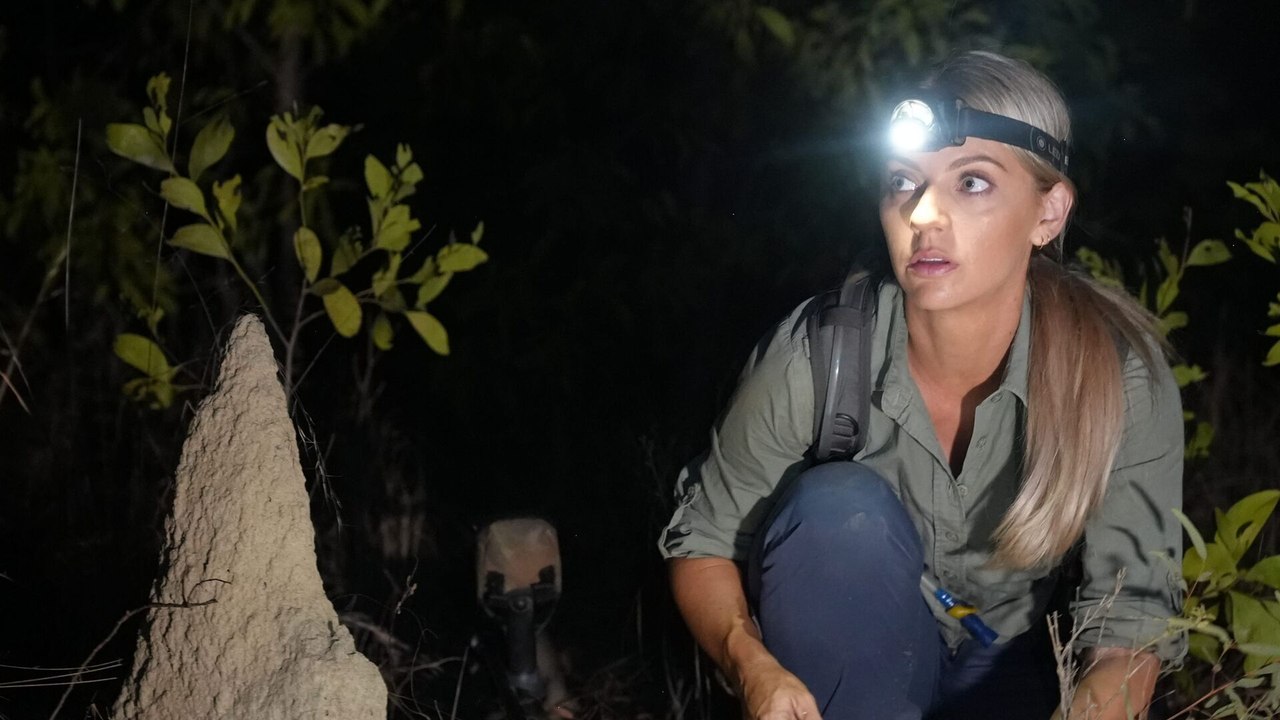 Australie, la ruée vers l'or