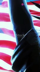 French MEP Demands Statue of Liberty Back!