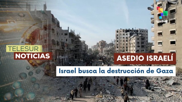 Cientos de palestinos asesinados por Israel