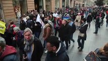 Manif Toulouse Haute Garonne