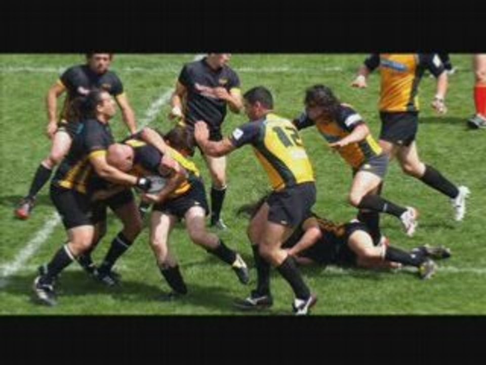 Gapeau rcch chiens poubelle rugby