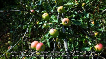 Understanding Physics: A Journey Through Fundamental Concepts