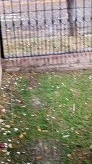 Fuerte temporal en el Valle de Uco