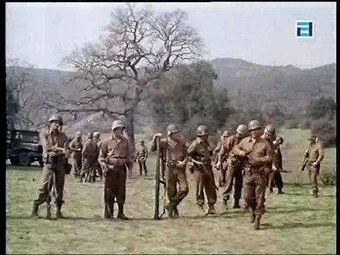 Jóvenes combatientes