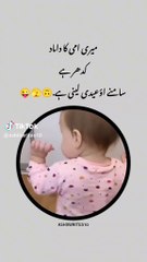 Fun,, Entertainment And Comedy