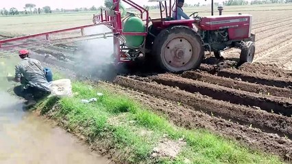 "Tractor Spraying Herbicide in Maize Field | Advanced Weed Control"