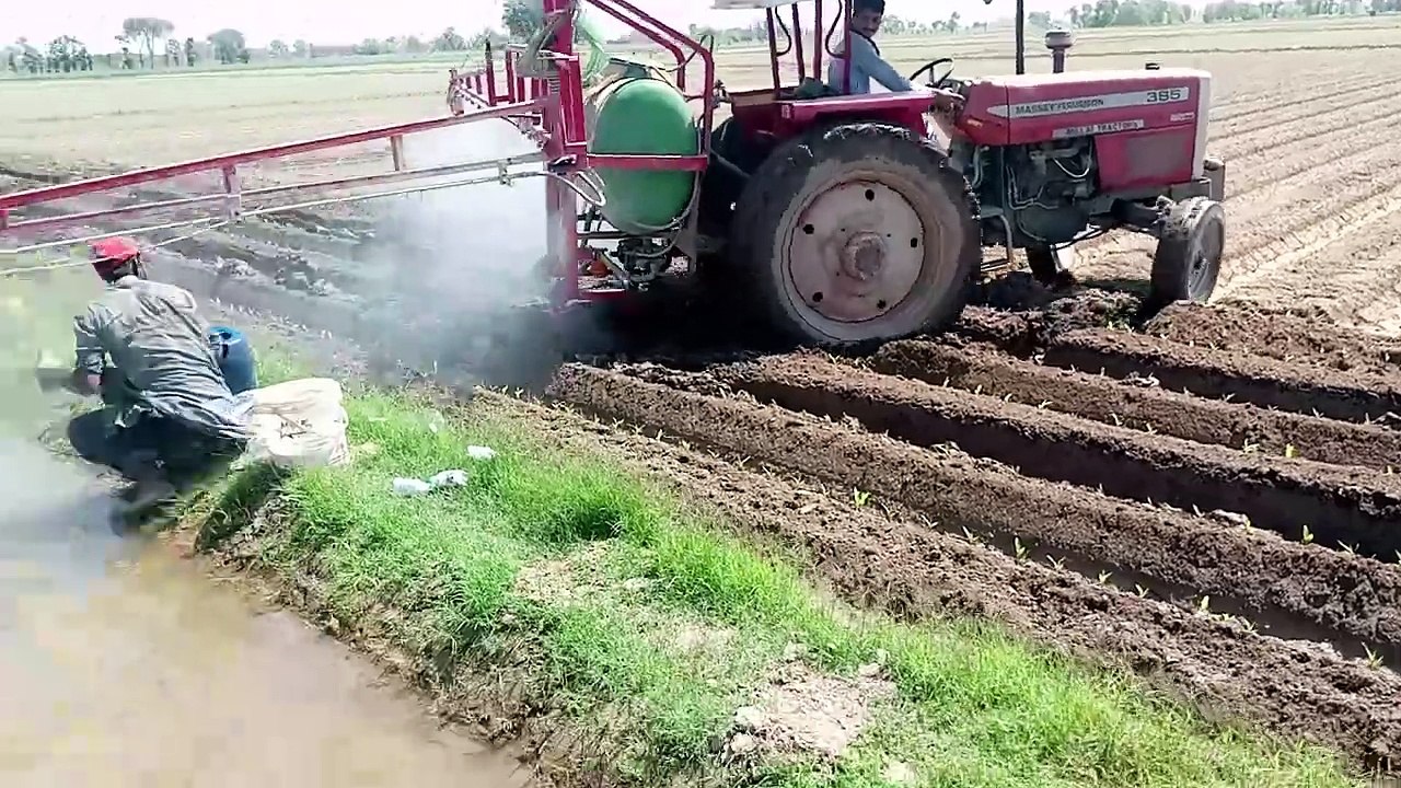 "Tractor Spraying Herbicide in Maize Field | Advanced Weed Control"