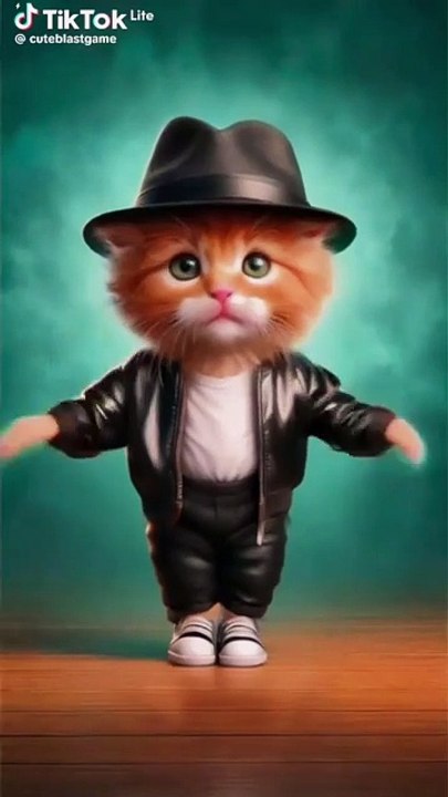 funny cats dance |funne |cat |funne dance |animalas |meme |ai funny