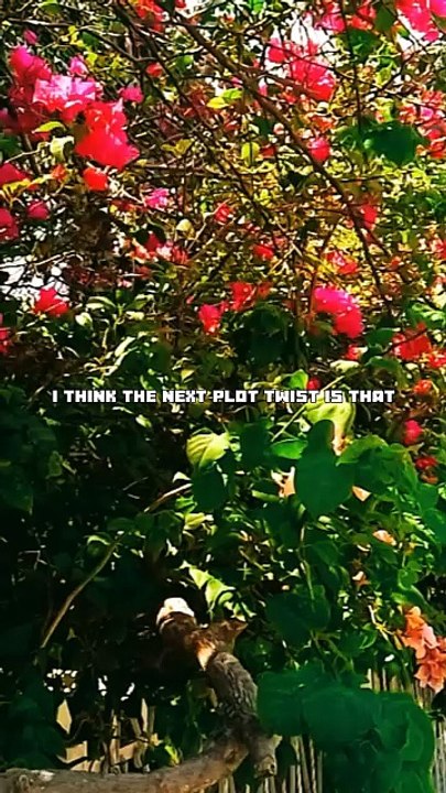 Inspirational Video of Words of Affirmation nature landscapes of flowers, lakes, and cloudy skies