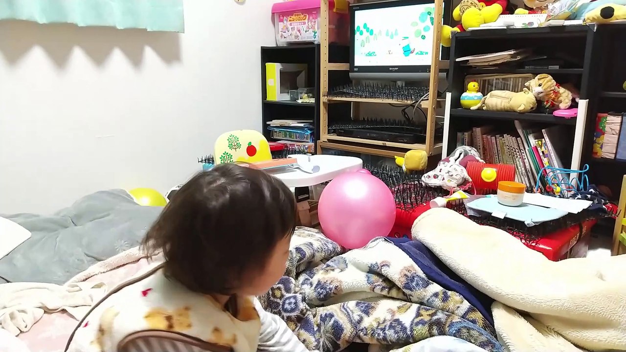 いないいないばあっ!歌いぬのおまわりさん(ワンワン・ぽぅぽ)を聞いた5歳児男の子（発達障がい（...