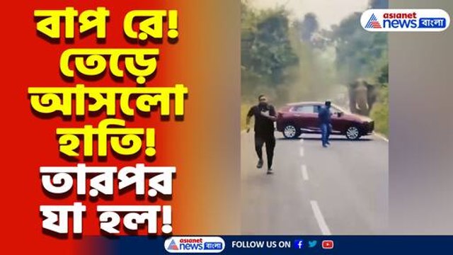 মুখোমুখি হাতি আর পর্যটকের গাড়ি! সাহসী পুলিশ অফিসারের তৎপরতায় অল্পের জন্য রক্ষা