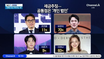 거액 추징 연예인 공통점은 ‘개인 법인’