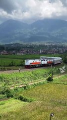 Keliatan dari jauh menembus 🤭