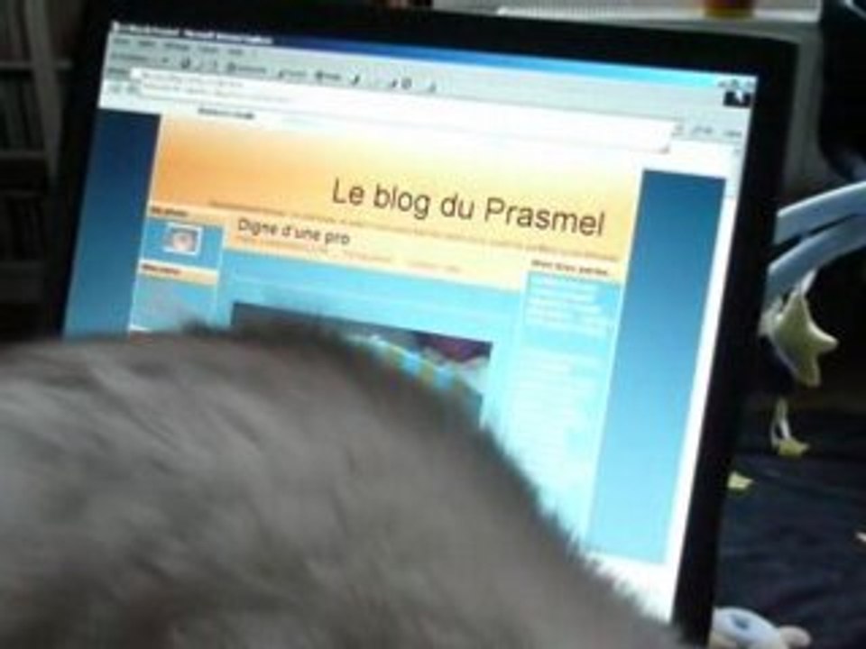 Un fan du blog