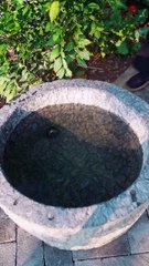 Artesanos tradicionales japoneses