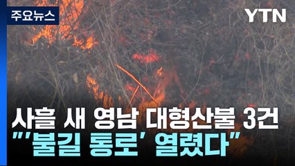 사흘 새 영남 대형산불 3건..."'불길 통로' 열렸다" / YTN