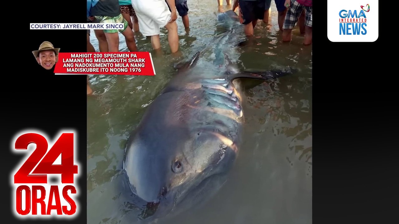 Mailap na megamouth shark, inanod sa dalampasigan ng Catanduanes; Hiking ng isang grupo sa Mt. Igatmon, Iloilo, naantala dahil sa sama ng panahon; Mga astronaut na mahigit 9 buwan na-stranded sa space, nakauwi na sa Earth; PHL, muling nag-... | 24 Oras