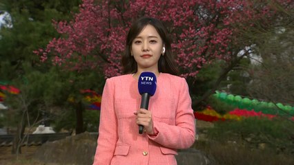 [날씨] 높은 기온에 활짝 핀 봄꽃...메마른 대기, 산불 비상 / YTN