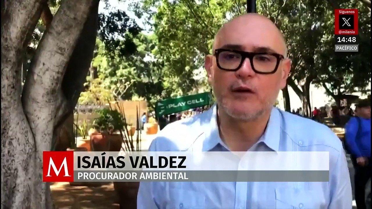 El procurador ambiental de Oaxaca denuncia que existen más de 300 tiraderos ilegales de residuos