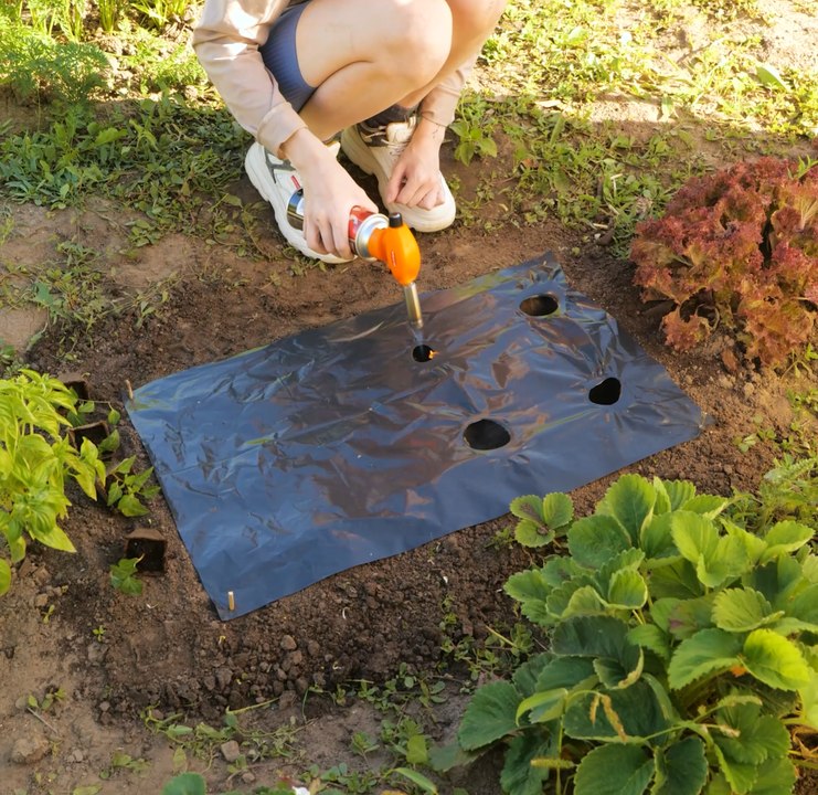 Blooming Beautiful : Trucs et astuces de jardinage pour réussir toute l'année !