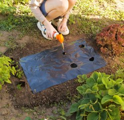 Blooming Beautiful : Trucs et astuces de jardinage pour réussir toute l'année !