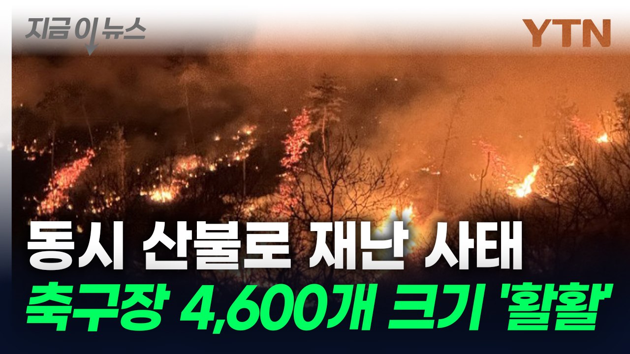 동시다발 산불에 축구장 4,600개 크기 산림 불타 [지금이뉴스] / YTN