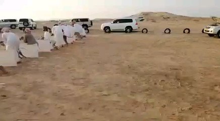 سباق كلاب سلوقية في جعلان بسلطنة عمان