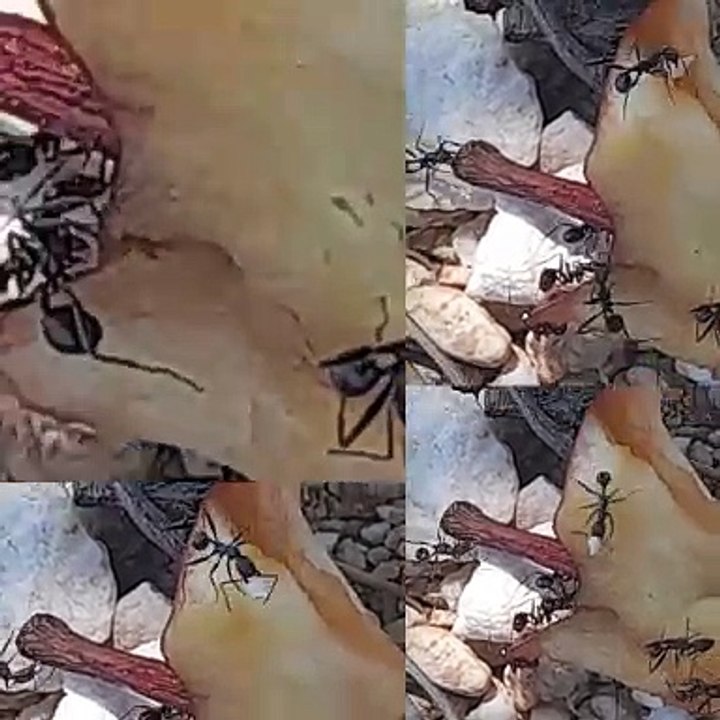 endlich austreiben will ich's, mein überhitzt rasendes Winterhöhlenherz