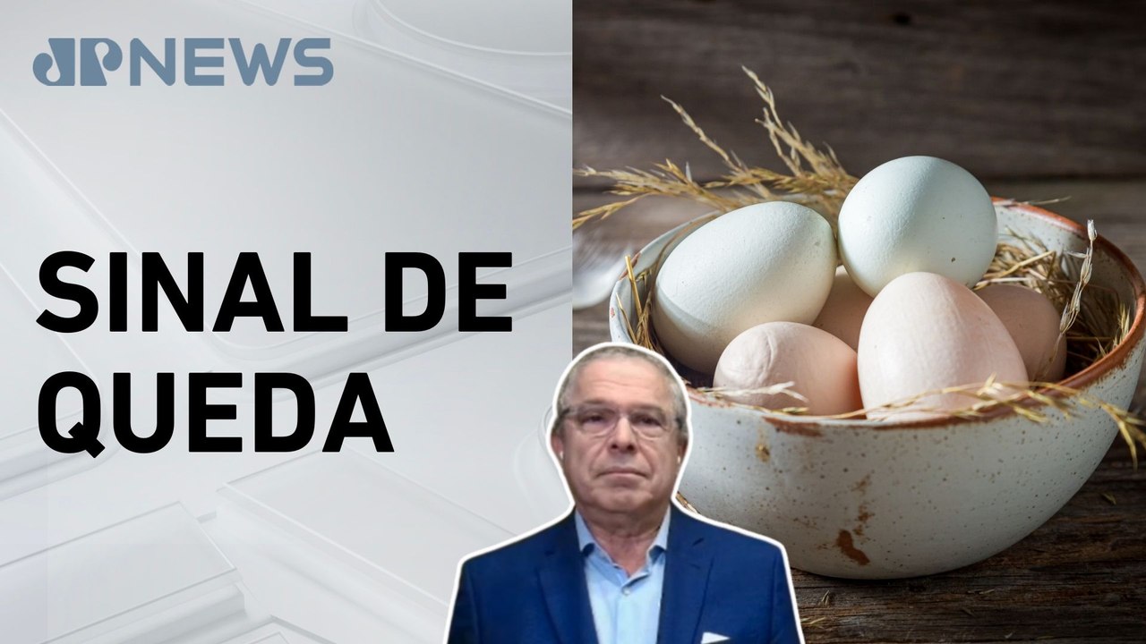 Preço dos ovos de galinha começa a recuar no Brasil; Da Luz analisa
