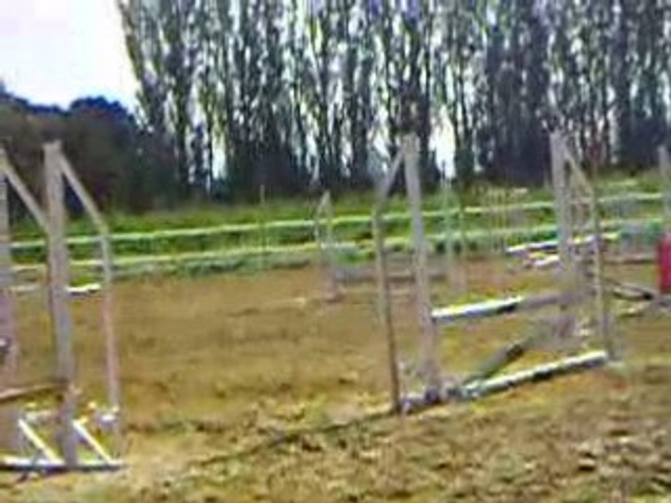 MOV01369