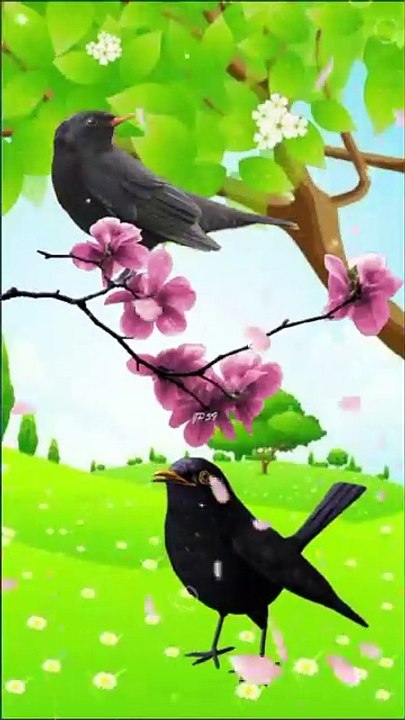 Birds Chirping "Alla Hoo" – Inspiring Islamic Poem for Kids