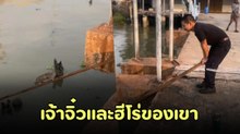 ใจฟู ! หนุ่มช่วยน้องแมวตกน้ำ หาไม้ยาวมาให้ไต่ขึ้นนาทีนี้ลุ้นกันสุดใจ