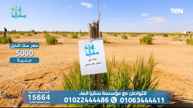 الدنيا وما فيها مع محمد هشام | دور المرأة في الحياة وجهود مؤسسة سقيا الماء في أعمال الخير