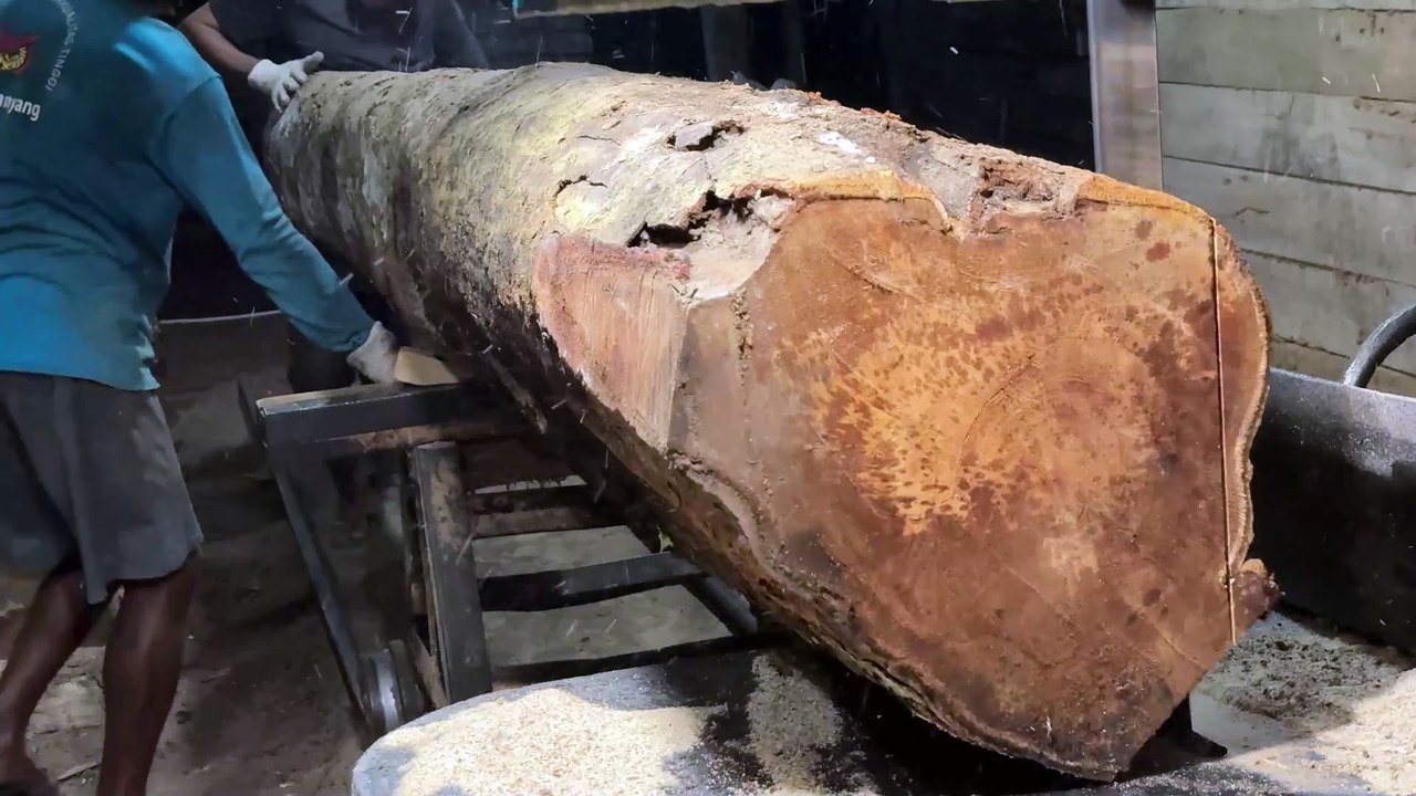 5x10 Wood Production Efficiency with Sawmill Machine