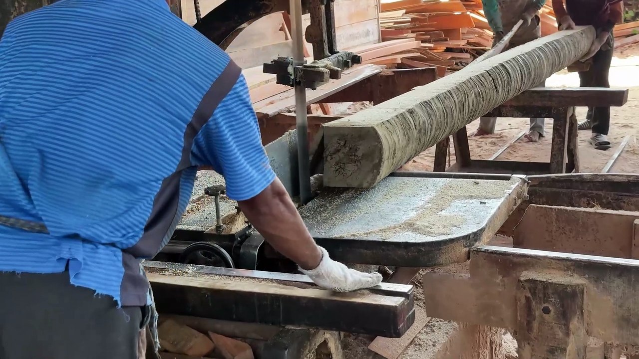 Tips for Cutting Coconut Trees into 2x20 Blocks Using a Sawmill