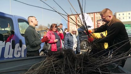 Drzewko za surowce w Brzegu