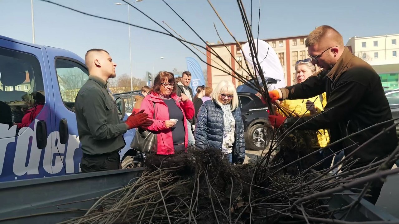 Drzewko za surowce w Brzegu