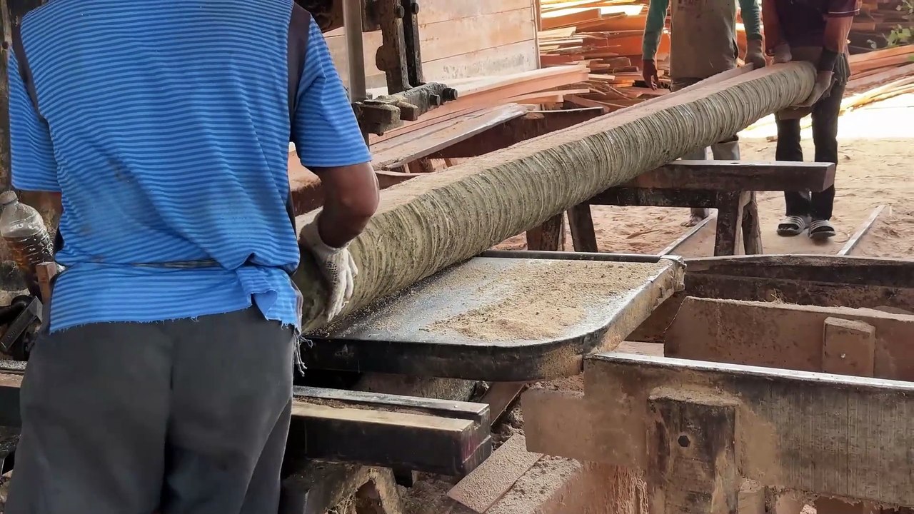 Coconut Tree Transformed into 2x20 Wood with Sawmill Technology