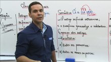3.3 ª aula - Artigo, Numeral e Interjeição