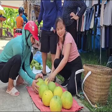Catching field fish, going to the market, and harvesting rice in my hometown
