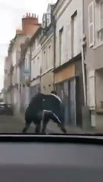 Orléans : Les images de l'agression du rabbin Arié Engelberg, qui a été filmée par un passant - Un jeune homme de 16 ans a été interpellé - Vive émotion de la classe politique