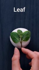 DIY_Drink_Coasters_#shorts #hacks#crafts#facts #5minuthackscrafts