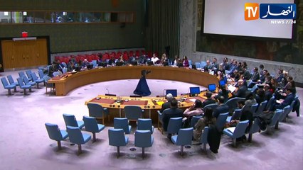 الجزائر والقضية الفلسطينية.. دعم ثابت ومتجذر في المحافل والمنابر الدولية