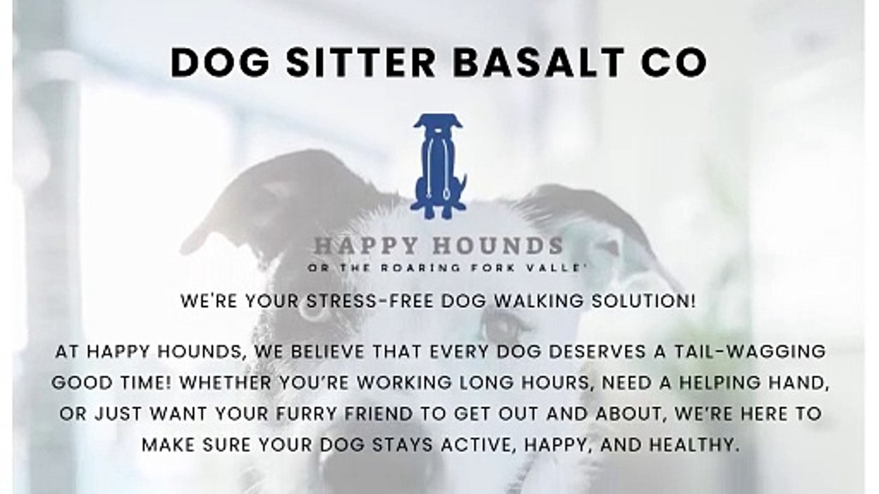 Dog Sitter Basalt CO
