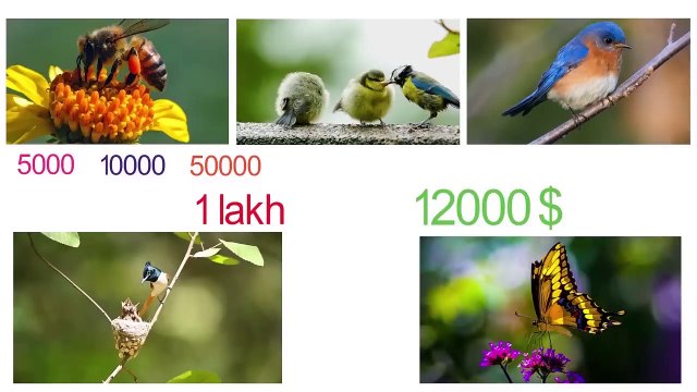 ৫ টি কাজের যে কোন ১ টির মাধ্যমে মাসে ১ থেকে ২ লাখ টাকা আয় করতে পারবেন । প্রচুর টাকা আয়ের ৫ টি উপায় ।