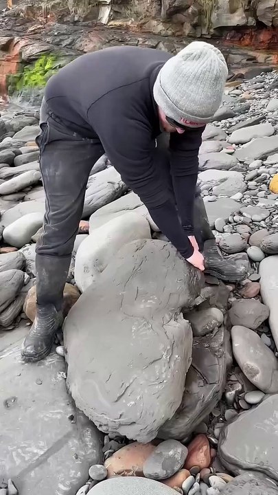 We Found THIS Hidden Inside a Massive Boulder! 🏝️ Jurassic Discovery Uncovered!