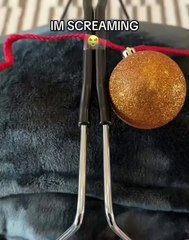 🌟 Welcome to the ultimate pawsome adventure with #DogsOfInstagram! 🐾 In t