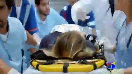 apocalipsis capitulo 83