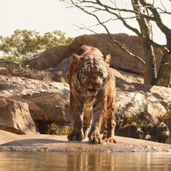 The Jungle Book 📚📚 Mowgli 💥aur Sher khan