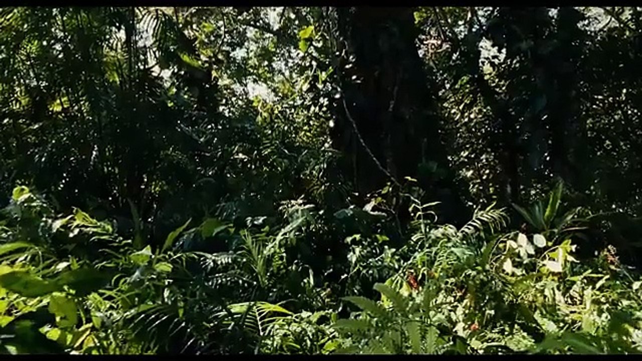 Apocalypto 2 (2025) - First Trailer